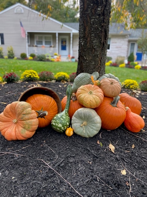 Fall Package